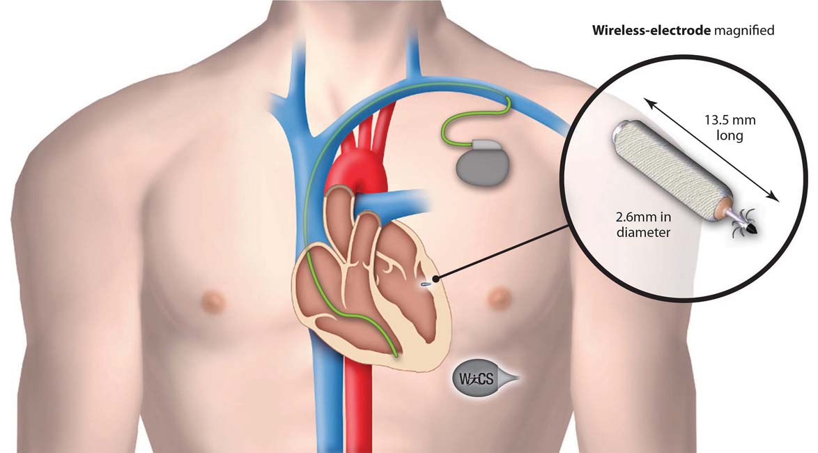 holy-family-hospital-cardiologist